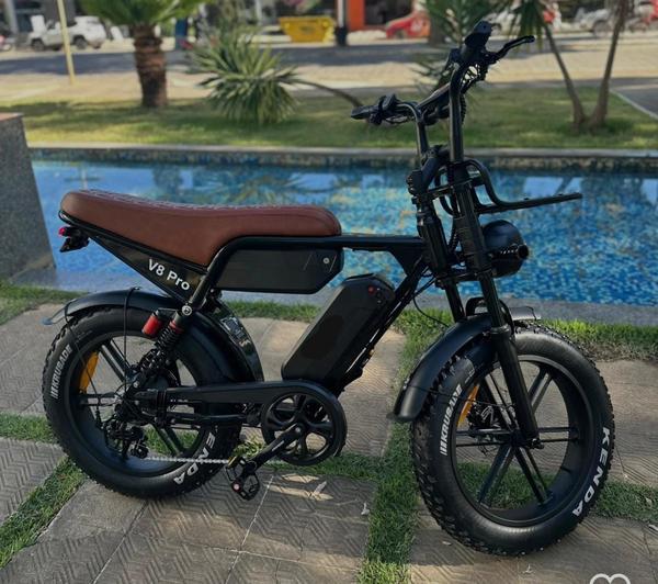 V8 PRO S 1.000W