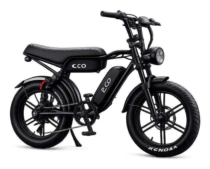 BIKE ECO 1.000W